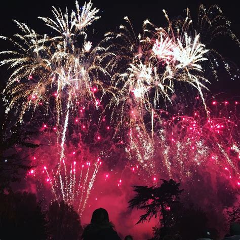 The Healing Power of Fireworks: How They Bring Joy and Light to Lives